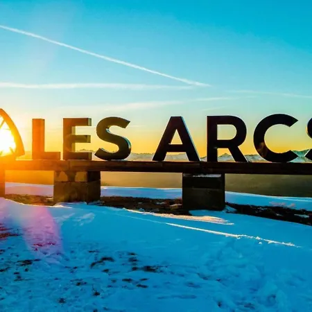 Skis Aux Pieds, Proche Commerces, Animaux Admis A Arc 1800 - Fr-1-411-128 * Les Arcs (Savoie)